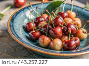 Close-up of fresh cherries or cherries. Delicious berries and fruits of bright red and yellow color with drops of water. Vegetarianism. Healthy eating. Fresh fruits on the table. Стоковое AI-изображение, AI-художник Photojuli / Фотобанк Лори