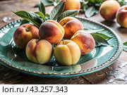 Close-up of fresh peaches. Delicious berries and fruits of bright yellow and red color with drops of water. Vegetarianism. Healthy eating. Fresh fruits on the table. Стоковое AI-изображение, AI-художник Photojuli / Фотобанк Лори