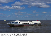 СПК "Метеор-158" готовится к заходу в Петродворцовую гавань (2018 год). Редакционное фото, фотограф Алексей Иванов / Фотобанк Лори