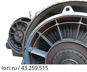Морской корабельный турбовальный двигатель на белом фоне. Marine ship turboshaft engine on a white background. Стоковое фото, фотограф Татьяна Д / Фотобанк Лори