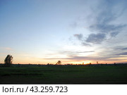 Spring sunset over the field. Стоковое фото, фотограф Andrew_Swarga / Фотобанк Лори