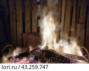 Burning bonfire in the dark. Стоковое фото, фотограф Andrew_Swarga / Фотобанк Лори