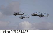 KUBINKA, RUSSIA - May, 15, 2021: attack helicopters Mil Mi-28, STRIZHI Aerobatic Team 30TH Anniversary Event. Стоковое фото, фотограф Фотограф / Фотобанк Лори