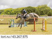 19 may 2024, Mafra, Portugal - competition in military academy - man is riding a horse and jumping over a hurdle. Редакционное фото, фотограф Константин Шишкин / Фотобанк Лори