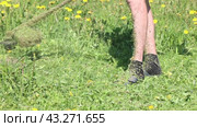 Head of gasoline string weed trimmer cuts dandelions in farmers field. Стоковое видео, видеограф Владимир Григорьев / Фотобанк Лори