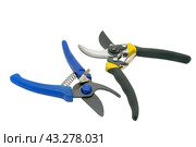 Садовый секатор на белом фоне. Gardening secateurs for cutting branches isolated on white. Стоковое фото, фотограф Татьяна Д / Фотобанк Лори