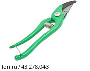 Садовый секатор на белом фоне. Gardening secateurs for cutting branches isolated on white. Стоковое фото, фотограф Татьяна Д / Фотобанк Лори