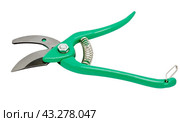 Садовый секатор на белом фоне. Gardening secateurs for cutting branches isolated on white. Стоковое фото, фотограф Татьяна Д / Фотобанк Лори