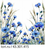 Wildflowers, meadow flowers and grass are painted in watercolor, cornflowers knapweed bluet, in white background. Стоковое AI-изображение, AI-художник Ольга Пилипчик / Фотобанк Лори