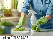 A cleaner in protective gloves cleans the table with a disinfectant. Copy space. Стоковое AI-изображение, AI-художник Ярославский Максим / Фотобанк Лори