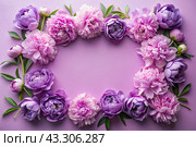 A frame with beautiful peony flowers on a pastel purple background. The layout of the apartment, top view, a place to copy, summer flowers. Стоковое AI-изображение, AI-художник Photojuli / Фотобанк Лори