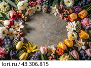 Beautiful floral background. A frame of spring flowers with tulips, daffodils, crocuses, hyacinths. View from above. Space for text. Стоковое AI-изображение, AI-художник Photojuli / Фотобанк Лори