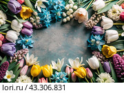 Beautiful floral background. A frame of spring flowers with tulips, daffodils, crocuses, hyacinths. View from above. Space for text. Стоковое AI-изображение, AI-художник Photojuli / Фотобанк Лори