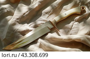Ceremonial dagger on silk fabric. Стоковое AI-изображение, AI-художник Юрий Поздников / Фотобанк Лори