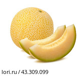 Yellow melon, whole and pieces, isolated on white. Стоковое фото, фотограф Катерина Ковалева / Фотобанк Лори