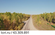 Asphalt roadway on a sunny autumn day. Road through autumn forest. Aerial view. Стоковое видео, видеограф Виктория Тельминова / Фотобанк Лори