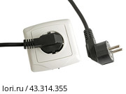 Электрическая розетка и электрические вилки на белом фоне. Electrical plug and electric socket on white background. Стоковое фото, фотограф Татьяна Д / Фотобанк Лори