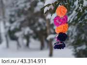 Гавайский венок на фоне заснеженного леса. Стоковое фото, фотограф YuryKara / Фотобанк Лори