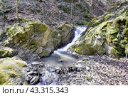 Водопад на притоке реки Сибирь, Даховская, Адыгея. Стоковое фото, фотограф Оглоблин Андрей Николаевич / Фотобанк Лори