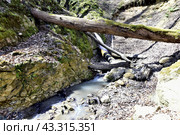 Водопад на притоке реки Сибирь, Даховская, Адыгея. Стоковое фото, фотограф Оглоблин Андрей Николаевич / Фотобанк Лори