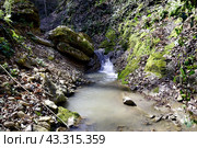 Водопад на притоке реки Сибирь, Даховская, Адыгея. Стоковое фото, фотограф Оглоблин Андрей Николаевич / Фотобанк Лори