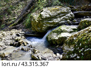 Водопад на притоке реки Сибирь, Даховская, Адыгея. Стоковое фото, фотограф Оглоблин Андрей Николаевич / Фотобанк Лори