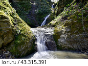 Водопад на притоке реки Сибирь, Даховская, Адыгея. Стоковое фото, фотограф Оглоблин Андрей Николаевич / Фотобанк Лори