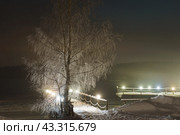 Long exposure photography. Coming spring, Russian countryside. Early frosts. Bare tree. Birch had been covered with frost. Beautiful view. Concept of the beauty in nature. Стоковое фото, фотограф YuryKara / Фотобанк Лори