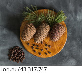 Кедровые шишки на деревянной дощечке с орехами. Стоковое фото, фотограф Серега Стяжкин / Фотобанк Лори