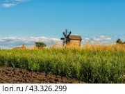 Windmill on the edge of a plowing among a weed. Стоковое фото, фотограф Владимир Ушаров / Фотобанк Лори