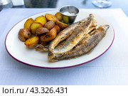 Fried smelt with boiled potatoes and mushroom sauce on a white plate. Delicious rustic lunch. Стоковое фото, фотограф Евгений Ткачёв / Фотобанк Лори