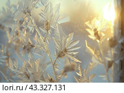 Winter frost patterns on glass. Ice crystals. Abstract light blank cold winter background or wallpaper. Frost patterns on frozen window. Frosted glass. Freezing effect. Frostwork. Harsh season. Cold. Стоковое AI-изображение, AI-художник Марина Демидюк / Фотобанк Лори