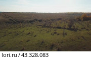 Aerial Drone Footage showing a vast Autumn landscape with fields and trees under a clear sky. Стоковое видео, видеограф Victor Kaprov / Фотобанк Лори