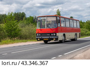 Старый венгерский автобус Ikarus 256.54 на трассе июньским днем. Псковская область (2024 год). Редакционное фото, фотограф Виктор Карасев / Фотобанк Лори