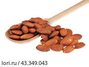 Деревянная ложка с миндалем, выделяющаяся на белом фоне. Wooden spoon with almonds. Стоковое фото, фотограф Александр Собко / Фотобанк Лори