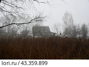 Старый дом в осеннем тумане. Стоковое фото, фотограф Алексей Поликарпов / Фотобанк Лори