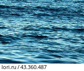 Море. Поверхность воды. Стоковое фото, фотограф Лиза Трифонова / Фотобанк Лори