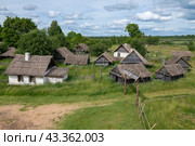Cтарая деревня-декорация для съемок исторических фильмов июньским днем. Урочище Лосковицы (Лосковское). Псковская область (2024 год). Стоковое фото, фотограф Виктор Карасев / Фотобанк Лори