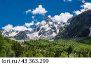 Mt. Dzhan-Tugan with the forest at the foot of it. Adyl-Su gorge, Kabardino-Balkaria, Russia. Стоковое фото, фотограф Анна Ефимова / Фотобанк Лори