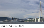 Большой противолодочный корабль проекта 1155 "Адмирал Пантелеев" рядом с Русским мостом (2024 год). Редакционное фото, фотограф Василий Юрьевич Шмидт / Фотобанк Лори