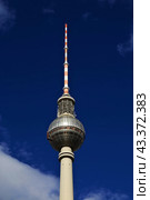 Berlin TV Tower, Fernsehturm, Germany (2015 год). Стоковое фото, фотограф Сергей Стрелков / Фотобанк Лори