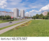 Начало Центрального проспекта в подмосковном Зеленограде. Клумба с цветами. Дорога с проезжающим автомобилем. Голубое небо с белыми облаками. (2024 год). Стоковое фото, фотограф Сергей Никифоров-Гордеев / Фотобанк Лори