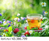 A cup of healthy herbal tea on the table surrounded by medicinal herbs and berries on a summer day. Стоковое AI-изображение, AI-художник Ярославский Максим / Фотобанк Лори