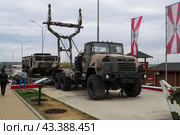 Тяжёлый механизированный мост ТММ-3 для строительства переправ через реки и овраги, военная инженерная техника. Каменск-Шахтинский, Ростовская область, Россия (2020 год). Редакционное фото, фотограф Андрей Цыганков / Фотобанк Лори