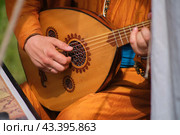 A minstrel plays an oud lute, hands on strings in close-up. Стоковое фото, фотограф Андрей Журавлев / Фотобанк Лори