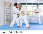 Mature judo fighters honing techniques during training bout in dojo. Стоковое фото, фотограф Яков Филимонов / Фотобанк Лори
