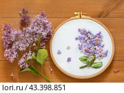 Spring floral hand embroidery with satin ribbons of lilac flowers in hoops on wooden background. Crafts and embroidery as a hobby and leisure. Flat lay, top view, close-up, mock up. Стоковое фото, фотограф Виктория Катьянова / Фотобанк Лори