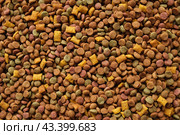 Pet Food Texture. Lot of Dry Granules of Crunchy Dog or Cat Food. Rotating Background. Animal Feed Pile. Fodder. Meal for Cats, Dogs. Filling. Daylight. Advertising. Pet Shop, Delivery. Healthy Treat. Стоковое фото, фотограф Марина Демидюк / Фотобанк Лори