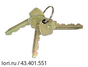 Связка ключей от замка на белом фоне. Bunch of keys isolated on white background. Стоковое фото, фотограф Татьяна Д / Фотобанк Лори