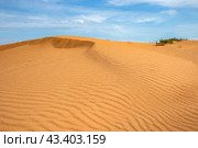 Пустыня Черные Земли в Республике Калмыкия. Стоковое фото, фотограф Анна Карасева / Фотобанк Лори